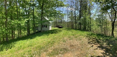 boone rd, Kimbolton, OH 43749 - #: 4458764