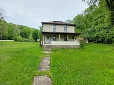 3696 Chevaux De Frise Road, Harrisville, WV 26362 - #: 4487213