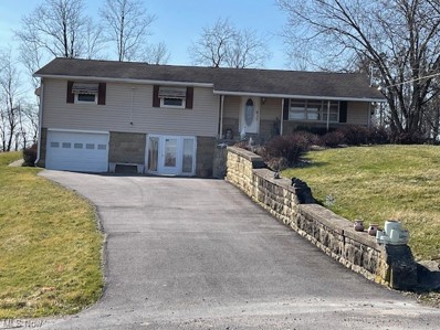 745 Lewisville Road, Woodsfield, OH 43793 - #: 4490493