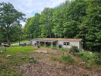 36998 Kinney Ridge Road, Graysville, OH 45734 - MLS#: 4491121