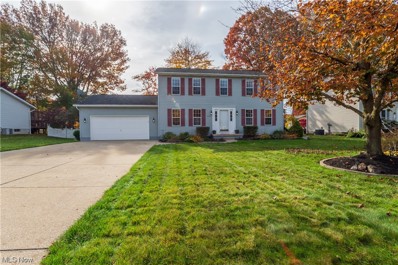 8180 Clover Lane, Garrettsville, OH 44231 - #: 4501052