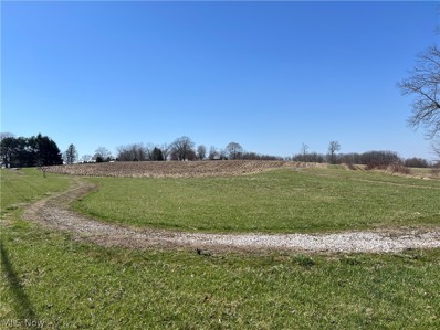 State Route 514, Big Prairie, OH 44611 - MLS#: 5024425