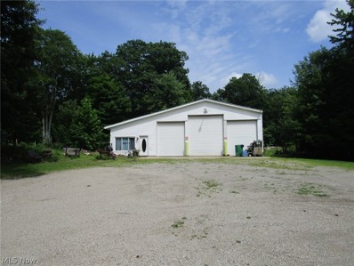 5202 State Route 534, Rome, OH 44085 - #: 5026328