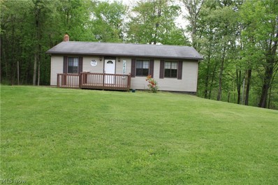 48675 King\'s Highway, Beallsville, OH 43716 - #: 5036066