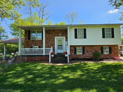 54822 Saint Joe Street, Bellaire, OH 43906 - MLS#: 5037375