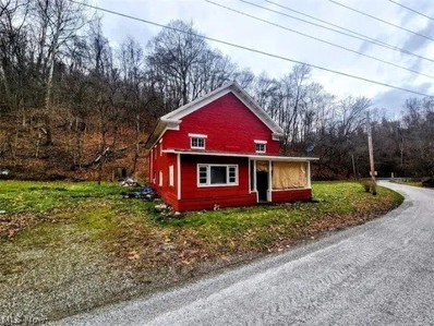 62510 Cumberland Run Road, Jacobsburg, OH 43933 - MLS#: 5039276