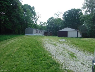 56521 State Route 541, Kimbolton, OH 43749 - MLS#: 5042866