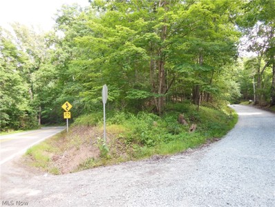 0 Bear Wallow Run Road, Harrisville, WV 26362 - MLS#: 5045624