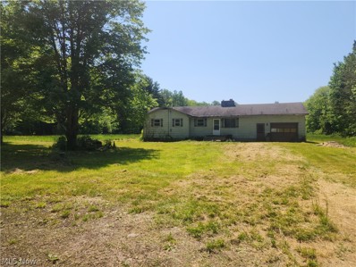 3491 State Route 46 S, Jefferson, OH 44047 - MLS#: 5048054