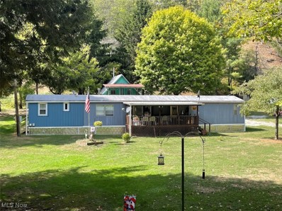 817 Smiths Run Road, Harrisville, WV 26362 - MLS#: 5075367