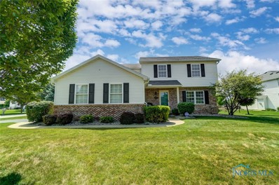 11019 Meadowville Circle, Whitehouse, OH 43571 - #: 6091872