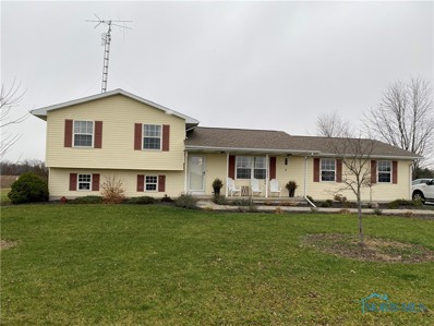 11371 Township Highway 102, Upper Sandusky, OH 43351 - #: 6095559