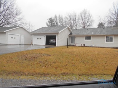 10395 Lake Drive, Ottawa, OH 45875 - #: 6097117