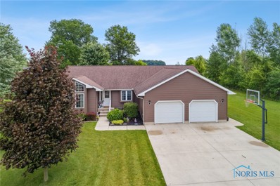 704 S Gormley Street, Forest, OH 45843 - #: 6103546