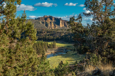 12300 NE Coyote Butte Road, Terrebonne, OR 97760 - MLS#: 220148045