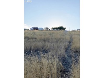 NW Delwood ST, PilotRock, OR 97868 - MLS#: 23185194