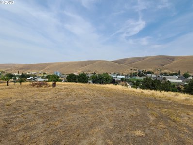 Willow View DR, Heppner, OR 97836 - #: 23540093