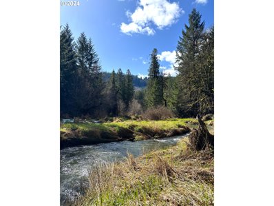 S. Fork Rd, Alsea, OR 97324 - MLS#: 23615778