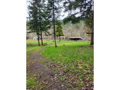 1681 FERGUSON Ln, DaysCreek, OR 97429 - #: 24028217