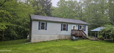 78 Swamp Road, Middleburg, PA 17842 - #: 20-97182