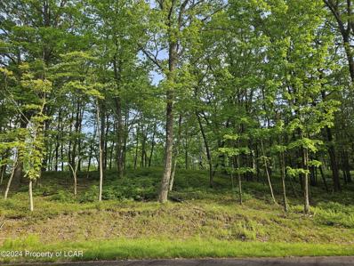 Timothy Drive, East Union Township, PA 17985 - #: 24-2325