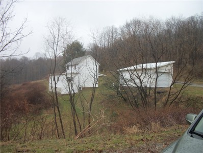 293 Riggs Road, Wind Ridge, PA 15380 - MLS#: 1603448