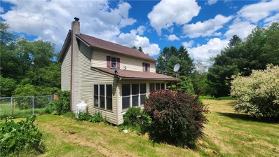 97 2nd St, Cairnbrook, PA 15924 - #: 1656557