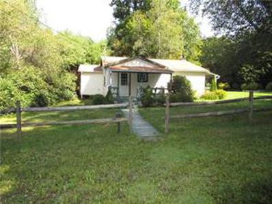 378 Pigs Ear Rd, , PA 16735 - #: 1671241