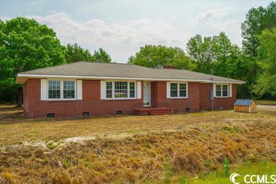 2910 S Pamplico Hwy., Pamplico, SC 29583 - MLS#: 2311287