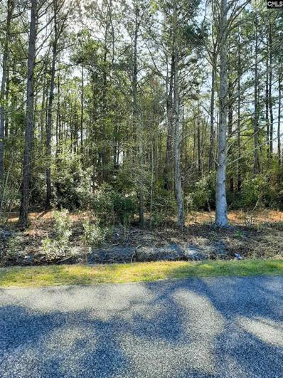 0 Chinaberry, Johnsonville, SC 29555 - #: 536922