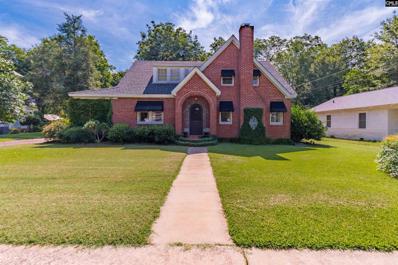 207 Green Street, Ridge Spring, SC 29129 - #: 589210