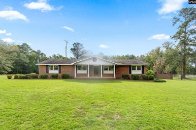 651 Broxton Bridge Road, Bamberg, SC 29003 - #: 595053