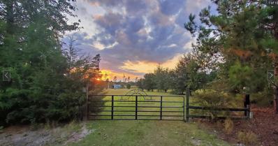 4630 Deer Drive, Brunson, SC 29911 - #: 23001111