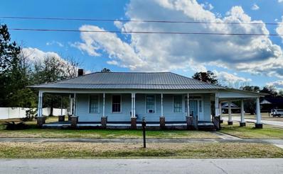 520 4th Street, Estill, SC 29918 - #: 24004699