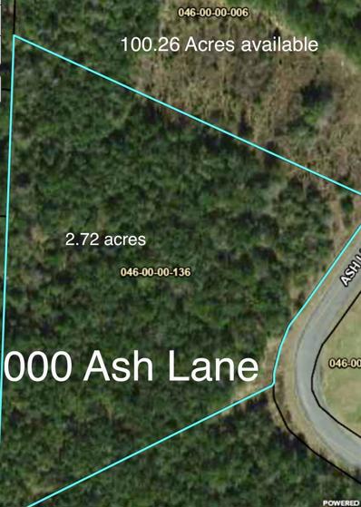 000 Ash Lane Lane, Williston, SC 29853 - #: 24009343