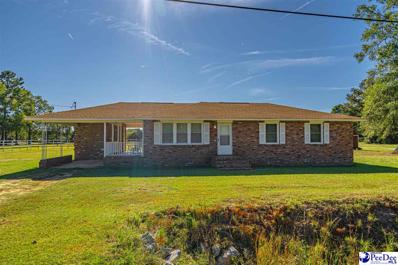 3239 S Pamplico Hwy, Pamplico, SC 29583 - MLS#: 20223819