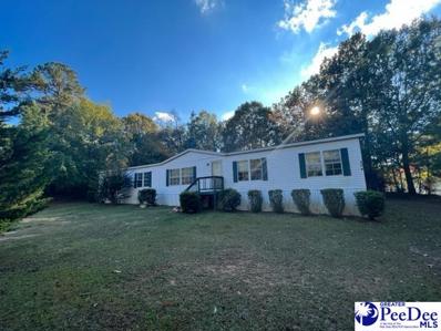 204 Little Boney Road, Blythewood, SC 29016 - #: 20223882