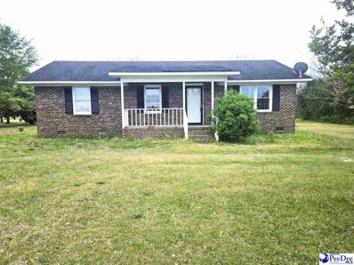2359 Highway 9 West 2359, Dillon, SC 29536 - #: 20240476