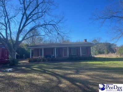 1541 Ethan Stone Road, Manning, SC 29102 - #: 20240806