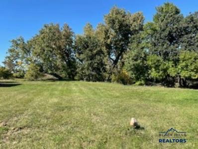 Lot 20 Block 1 BIRNAM WOOD LN, Belle Fourche, SD 57717 - #: 165808