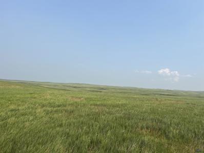 Parcel 16 OTHER Unit Kostner, Caputa, SD 57725 - MLS#: 168598