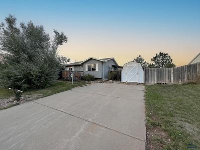 13062 PONY EXPRESS DR, Piedmont, SD 57769 - #: 170095