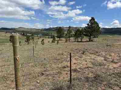 Tract 2 Argyle Road, Hot Springs, SD 57747 - #: 79664