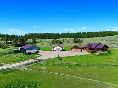 79 Beaver Creek Road, Sundance, WY 82729 - #: 80265