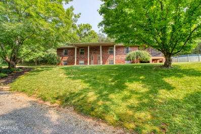 1207 Fagley Drive, Seymour, TN 37865 - #: 1228131