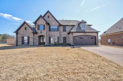 310 Misty Fields Cv, Oakland, TN 38060 - #: 10143351