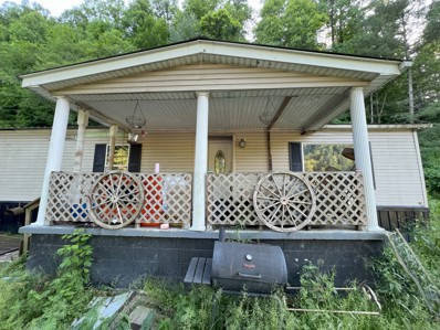 7762 River Front Rd, Lovely, KY 41231 - #: 2658091