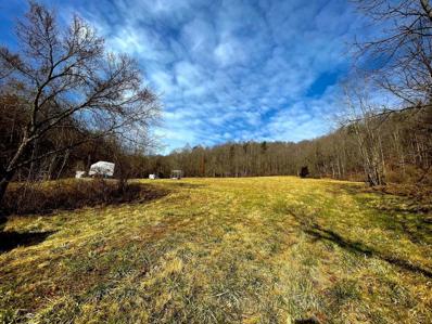 Greasy Clinch River Highway, Clinchport, VA 24224 - MLS#: 9949886