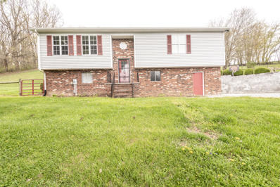 30058 Hillman Highway, Meadowview, VA 24361 - MLS#: 9950362