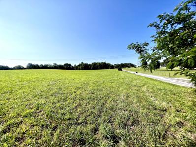 Tbd Bailey Street, Baileyton, TN 37745 - #: 9953546